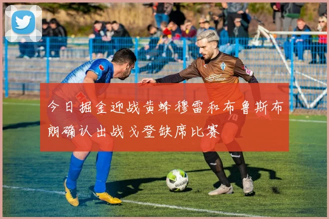 今日掘金迎战黄蜂穆雷和布鲁斯布朗确认出战戈登缺席比赛